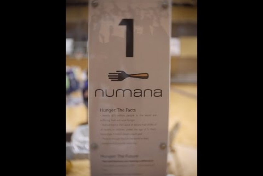 Embedded thumbnail for Numana Coordinators