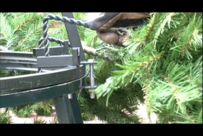 Embedded thumbnail for Christmas Tree at LSUS